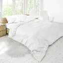 Quilt_02.webp